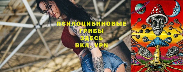 кокс Арсеньев