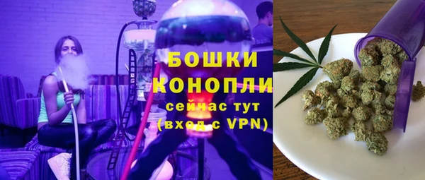 ПСИЛОЦИБИНОВЫЕ ГРИБЫ Армянск