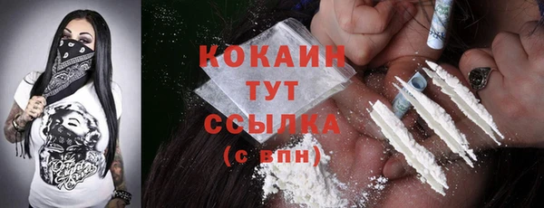 кокс Арсеньев